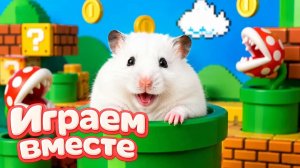 ХОМЯК ВЫБИРАЕТСЯ ИЗ СЕКРЕТНОЙ ХОМЯЧЕЙ ТЮРЬМЫ !! Играем ВМЕСТЕ ! Супер лабиринт для хомяка №10