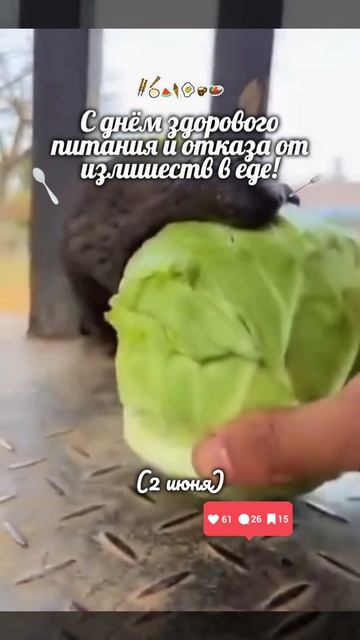 Как отметите этот день?😉
