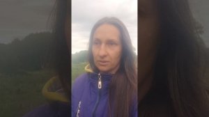 Ванилин очень хорошо помогает от мошкары...