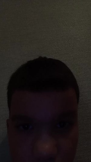 99 ночей в лесу