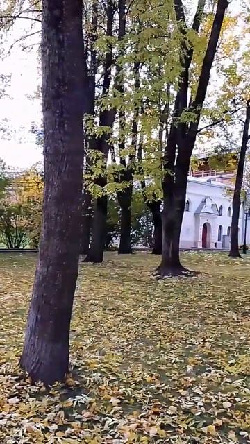 Великий Новгород. Древние стены и старинный парк, украшенный золотом ярких осенних листьев.
