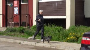 «Студия 11» – Международный день соседей