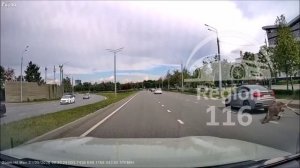 Водитель легковушки сбил одного из троих лосей, выскочивших на дорогу в Казани
