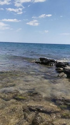 море