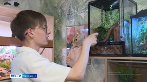 Школьник из Куртамыша представил проект переработки пластика с помощью бактерий личинок