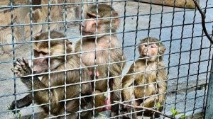 Как прошла ПЕРВАЯ НОЧЬ Анфисы в компании? Мы пришли ее проведать!