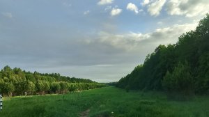 Обычные выходные ни даче
