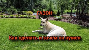 ГАЗОН. Как сделать и для чего он нужен.