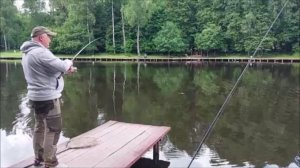 Поимки карпа на поплавочную и фидерные снасти. Клёвое место, Лосиный остров.