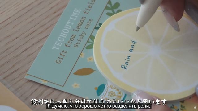 Techoutime  手帳のじかん Рутина в конце месяца  Ежедневник на июнь 🌿