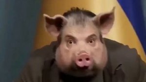 🔴Зе свин🐽🔴