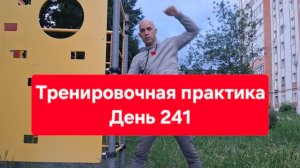 Тренировочная практика. День 241