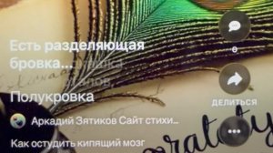 «Полукровка» как остудить кипящий мозг