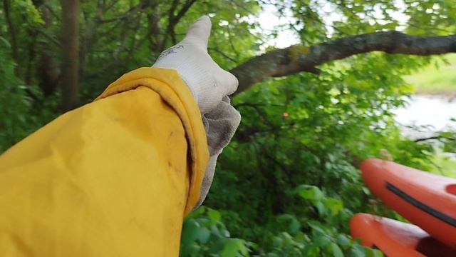 лосячат, конкурс с препятствиями смотреть онлайн