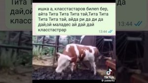1000001185.mp4