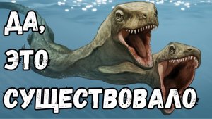 Странные окаменелости, которых быть не должно