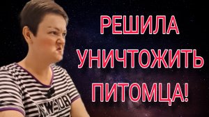 РЕШИЛА ИЗБАВИТЬСЯ ОТ ФУФЛА. ПИРАТСКАЯ ЖИЗНЬ. ОБЗОР.