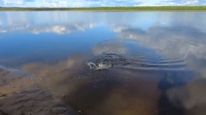 Рыбалка На Реке. Рыбное Эльдорадо! Часть 2-я.