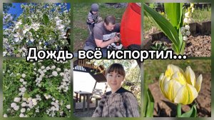 ОБЗОР ПОКУПОК И ДАЧНЫЕ ДЕЛА.