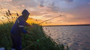 ОНИ ТАЩАТ УДОЧКИ В ВОДУ! КАРП и САЗАН рвут снасти на платном пруду!