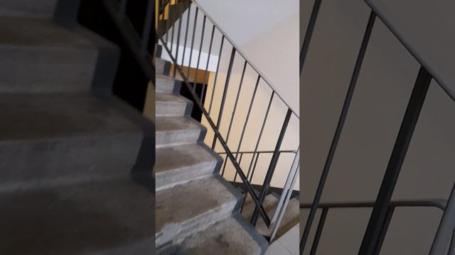20250128_124643.mp4 смотреть онлайн