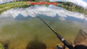 VPOLE 30.05.26