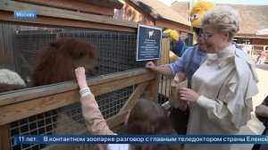 Елена Малышева с участницей акции «Стань Первым» покормила альпак в зоопарке: видео.