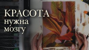 Почему нам так нужна красота?