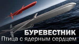 Что такое ракета Буревестник?