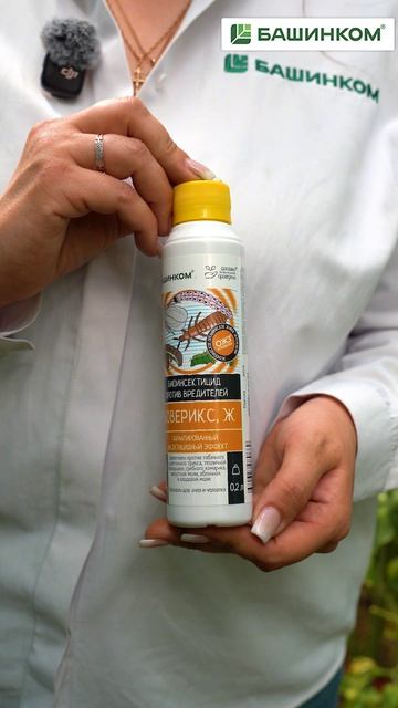 Какие красивые бывают микробиологи с Бовериксом! Средство от белокрылки