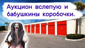 АУКЦИОН КОНТЕЙНЕРОВ В США - Аукцион вслепую и бабушкины коробочки. Выпуск 371