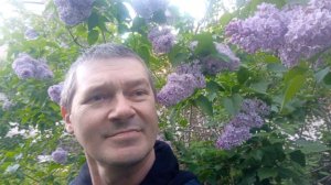 картошку  целиком  сготовлю