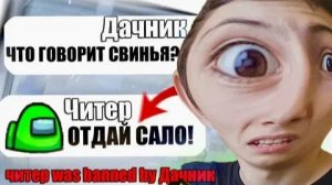 дачник перезалив я нашёл самого тупого читера в амонг ас