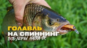 Ловля Голавля на Легкий Спиннинг в Начале Лета Воблеры Lucky John Haira Tiny 33F SR Рулят