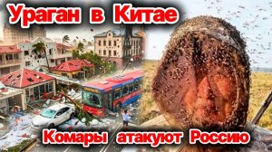 Ураган уничтожает дома в Китае❗ Полчища комаров атакуют Россию❗ Ставрополье уходит под воду❗ Сегодня