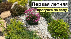 Сад в Сибири! Что можно выращивать в наших условиях!