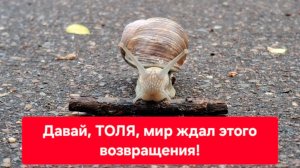 Давай, Толя, мир ждал этого возвращения!