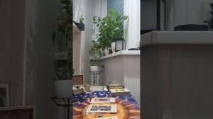 Карта дня