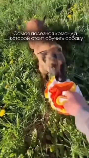 Согласны?