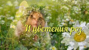ДРУЗЬЯ МОИ !!!  С первым днём лета💝
