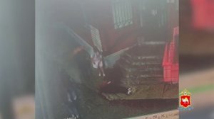 В городе Златоусте Челябинской области сотрудница полиции спасла задыхавшегося на улице мужчину