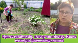 Муж со мной живёт, потому что я блогер. Нашла место для фламентанц и очитка