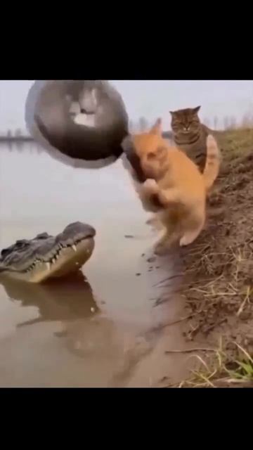Водицы испить уже не дадут