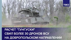 Расчет «Тунгуски» сбил более 30 дронов ВСУ на добропольском направлении