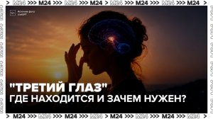 Невролог объяснил, за что отвечает «третий глаз» у человека - Москва 24