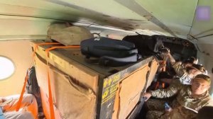 (28.05.2026) Четыре тигра из Хабаровского края помогут восстановить популяцию хищника в Казахстане