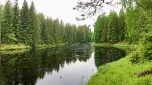 Раннее туманное утро , на красивой реке🤩