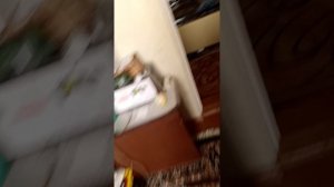 чикура ( 1 часть )