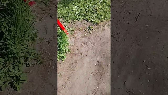 я гуляю (1 часть) смотреть онлайн