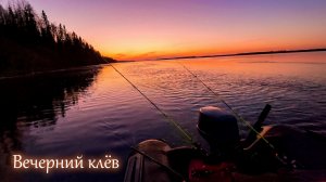 Вечерний клёв. Рыбалка с лодки на закате.